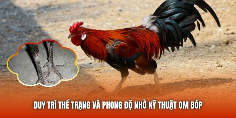 Duy trì thể trạng và phong độ nhờ kỹ thuật om bóp