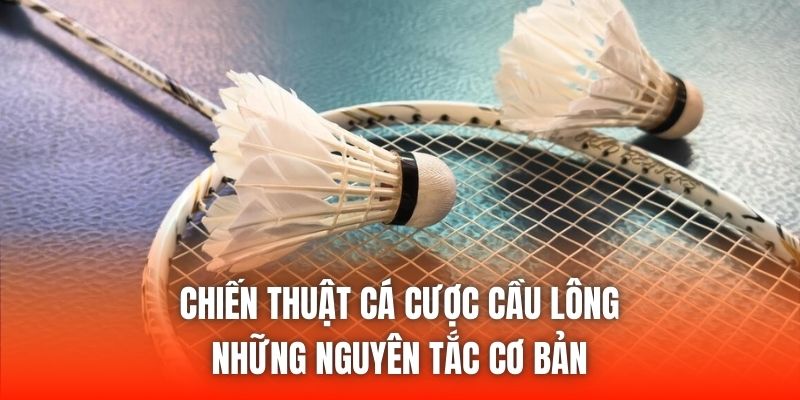 Chiến Thuật Cá Cược Cầu Lông | Những Nguyên Tắc Cơ Bản